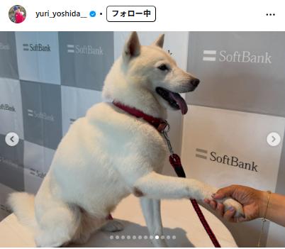 吉田優利のインスタグラムから