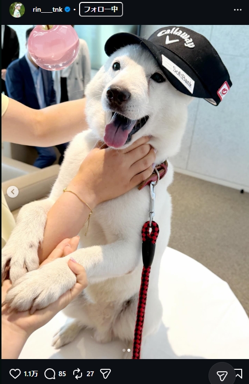 吉田鈴のインスタグラムから