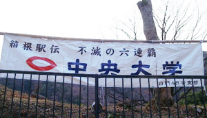 ５区＆６区