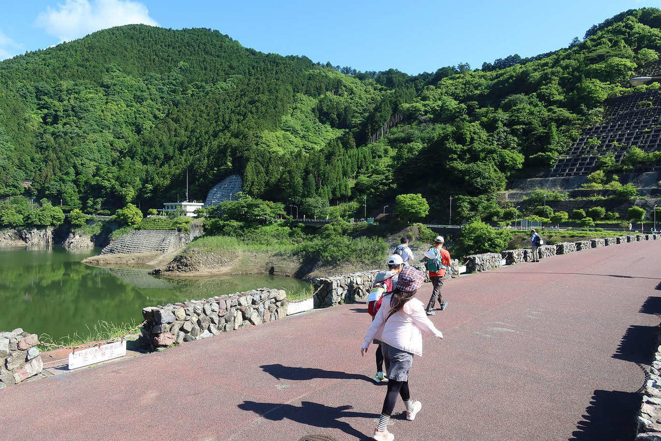 緑と清流が楽しめる自然豊かな飯能のコース