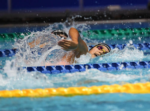 女子４００メートル自由形　決勝で力泳する小堀倭（撮影・山崎安昭）