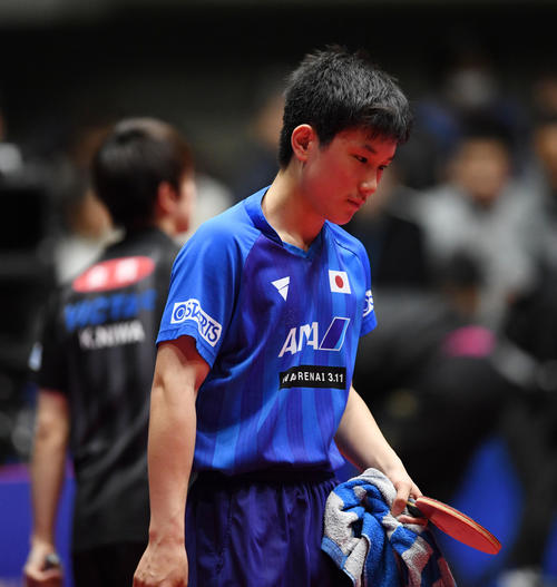 丹羽に敗れ肩を落とす張本（撮影・横山健太）