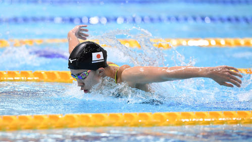 女子400メートル個人メドレー予選でバタフライを泳ぐ大橋悠依（撮影・鈴木みどり）
