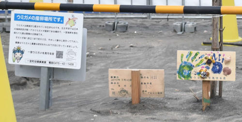 東京五輪の追加種目サーフィンのテストイベント会場に設けられたウミガメの産卵場所に立てられた札（撮影・佐々木隆史）