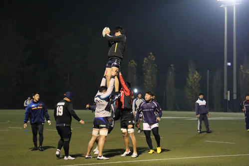 練習を行う同大ラグビー部（撮影・南谷竜則）