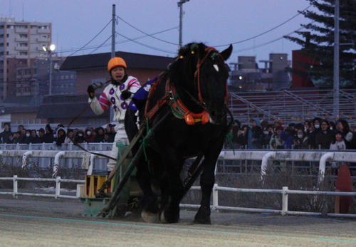 北海道　迫力ばんえい競馬