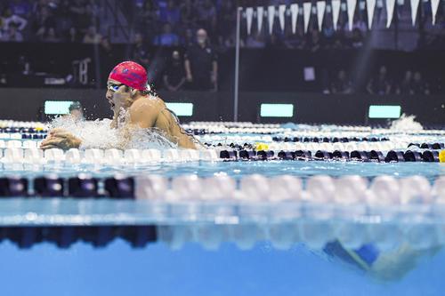 男子400 メートル 個人メドレーで短水路世界新記録をマークした瀬戸大也（AP＝共同）