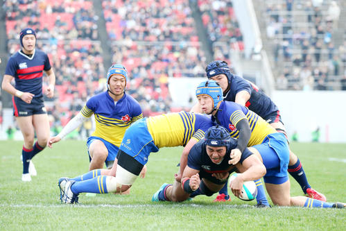 京都成章対常翔学園　後半、常翔学園CTB岡野がトライを決める（撮影・上山淳一）