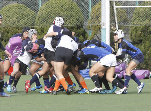 モールを練習する東福岡の選手たち（撮影・菊川光一）