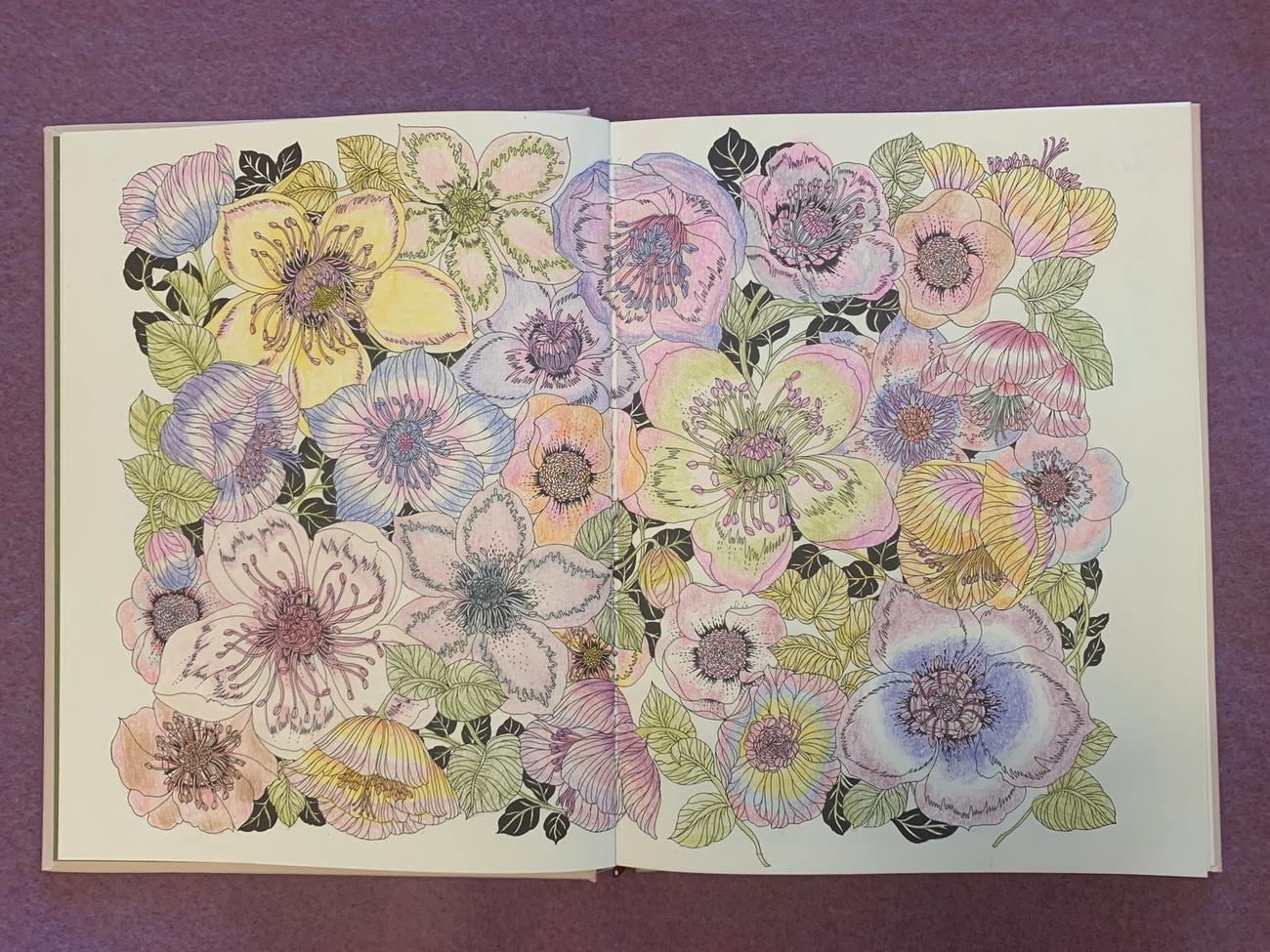 浅田さん作成の「おとなの塗り絵」