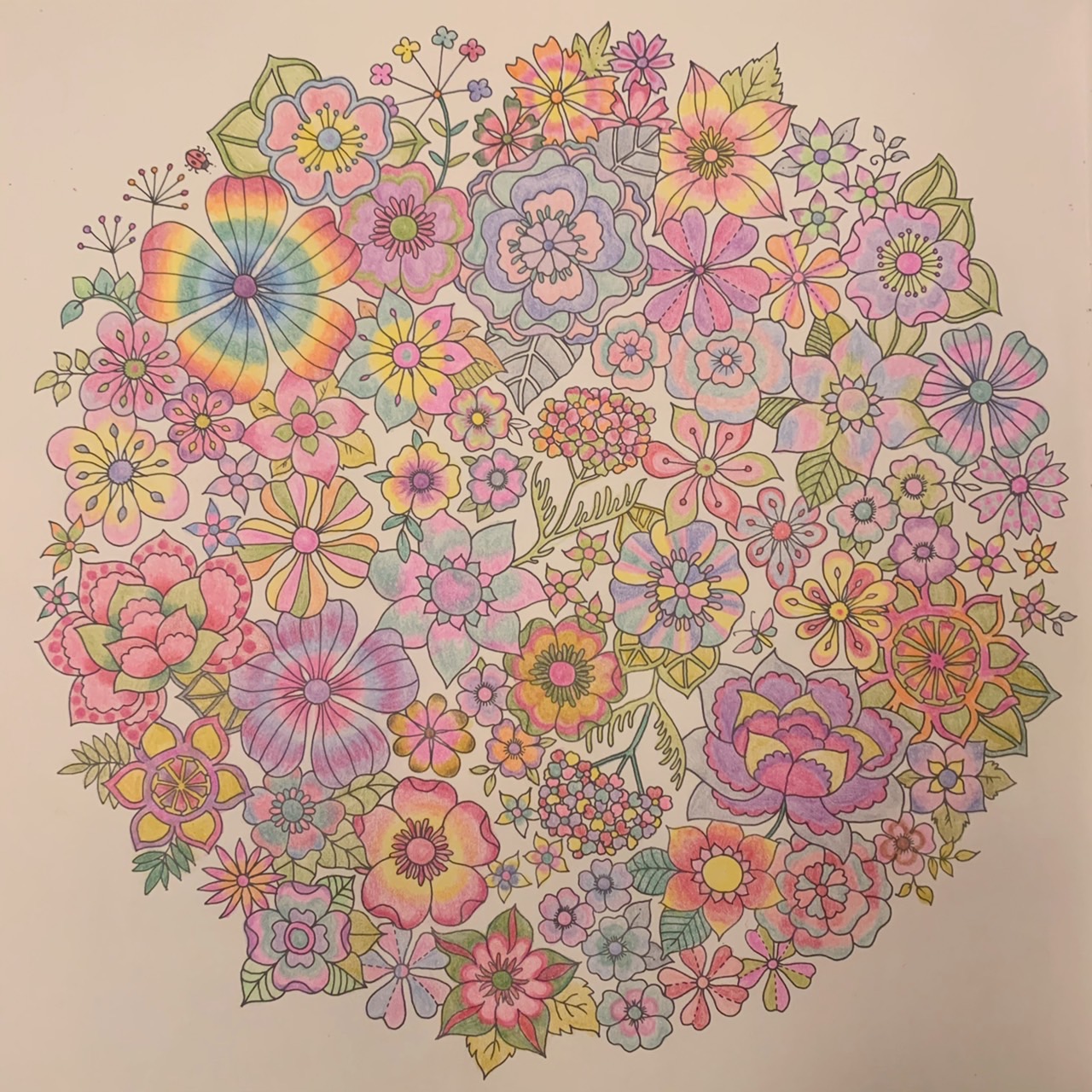 浅田さん作成の「おとなの塗り絵」