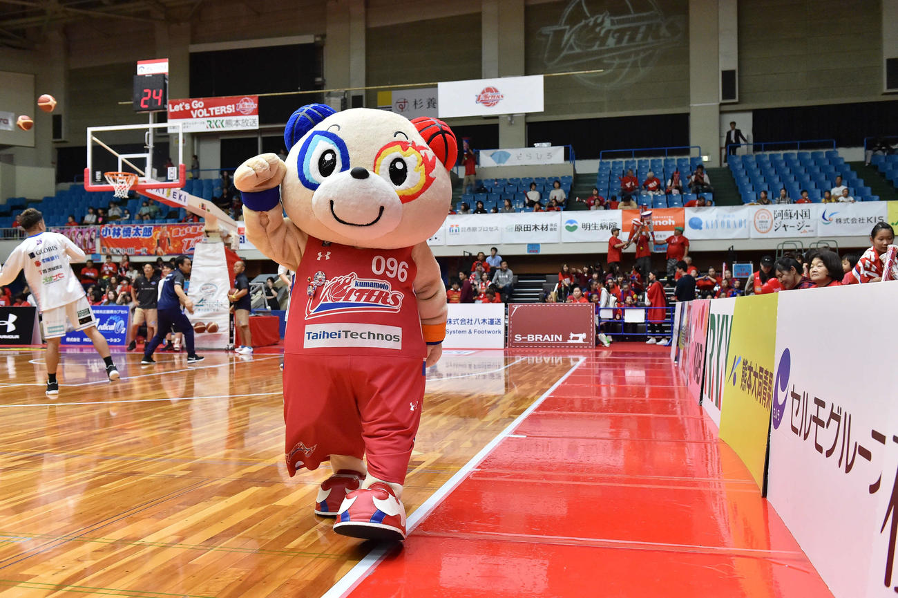 第3回Bリーグマスコット総選挙17位のぼるたん（熊本）(C)B.LEAGUE
