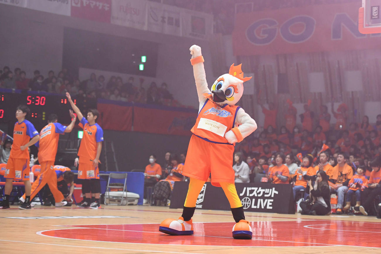 第3回Bリーグマスコット総選挙21位のアルード（新潟）(C)B.LEAGUE