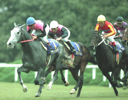 ビワハヤヒデ死す 93年菊花賞などG1を3勝 - スポーツ : 日刊スポーツ