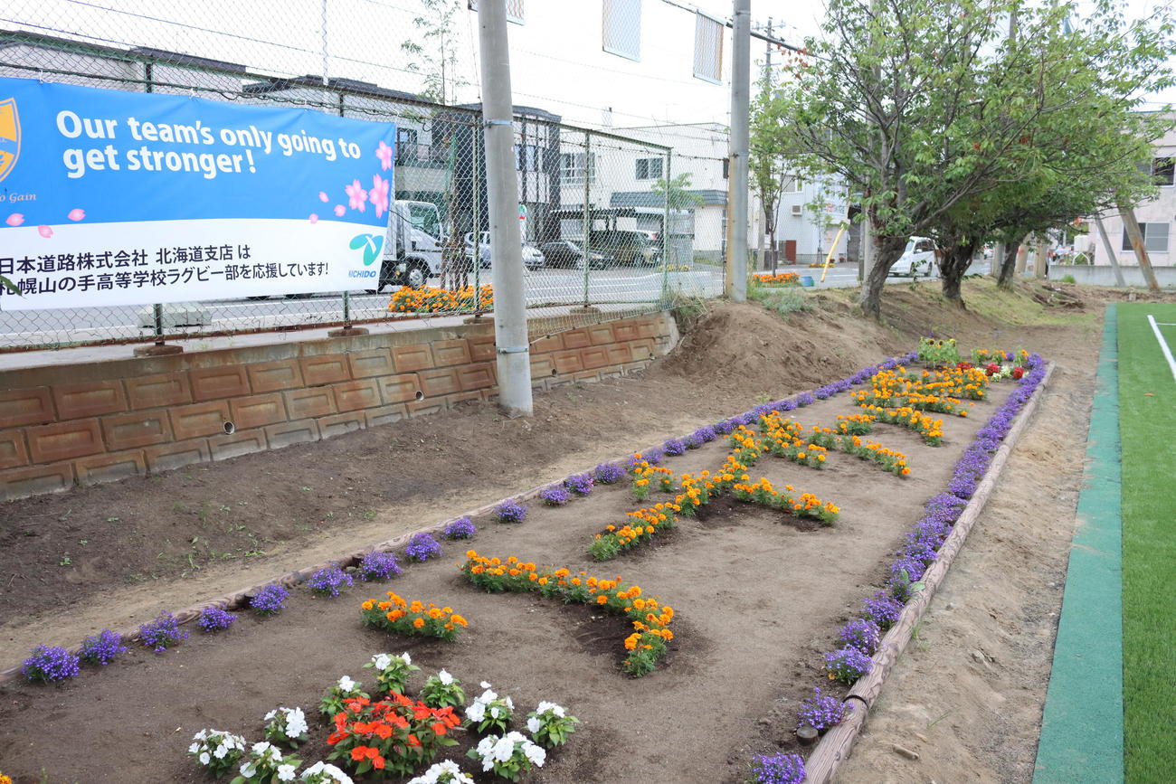 人工芝にリニューアルされた札幌山の手高ラグビー部グラウンド横の花壇は「リーチガンバレ」の文字で花が植えられていた（撮影・保坂果那）