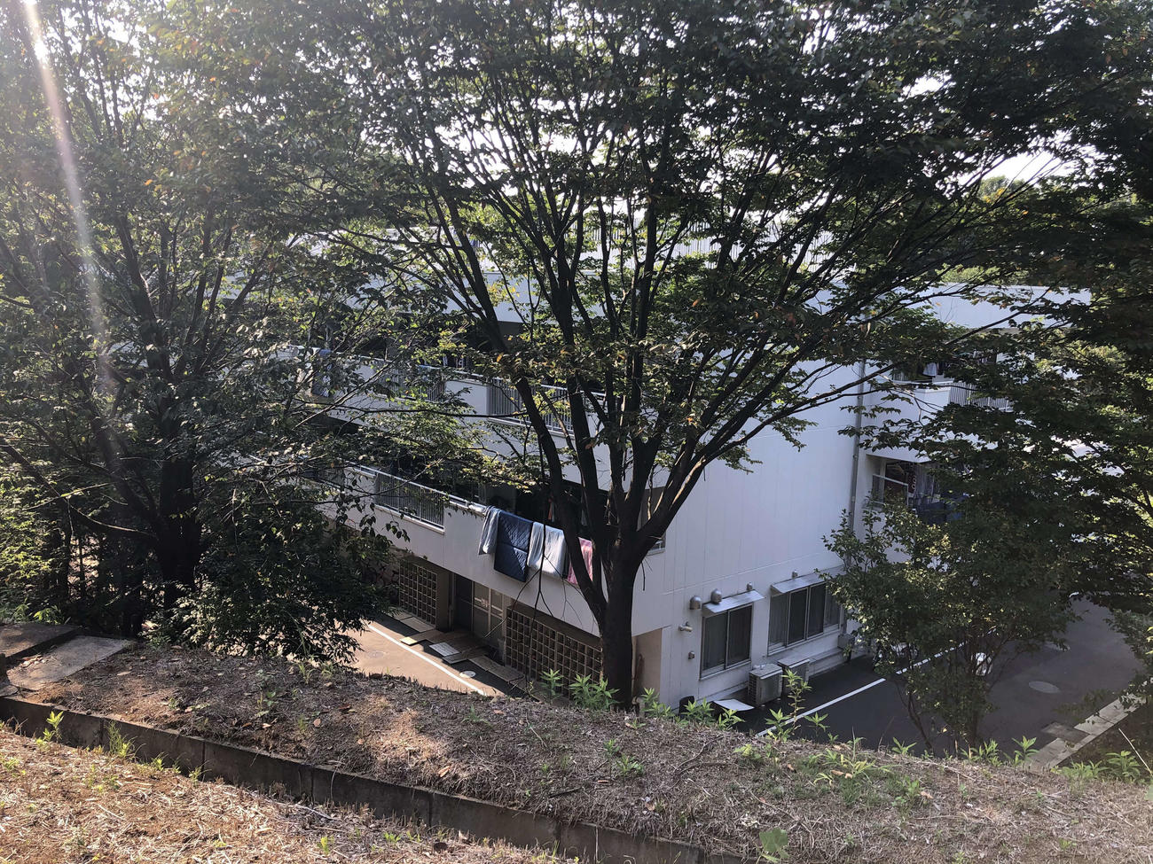 元ヘッドコーチの40代男性による部員への暴行問題発覚から一夜明けた東京・稲城市の日大ラグビー部寮
