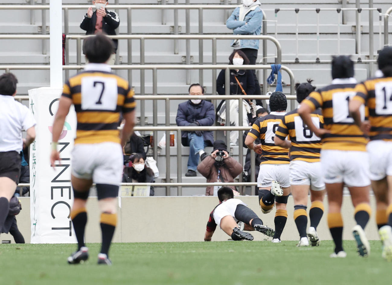 前半、独走でトライを決める早大CTB伊藤（撮影・野上伸悟）