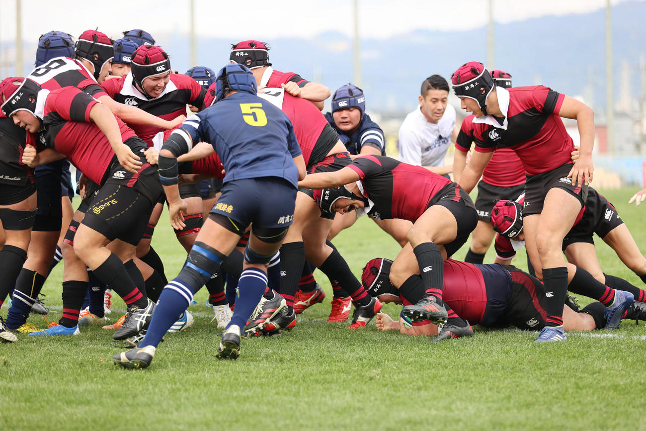 全国高校ラグビー大会1回戦　新潟工対関商工　後半17分、モールで押し込み新潟工プロップ仲村太智がトライを決める（撮影・清水貴仁）