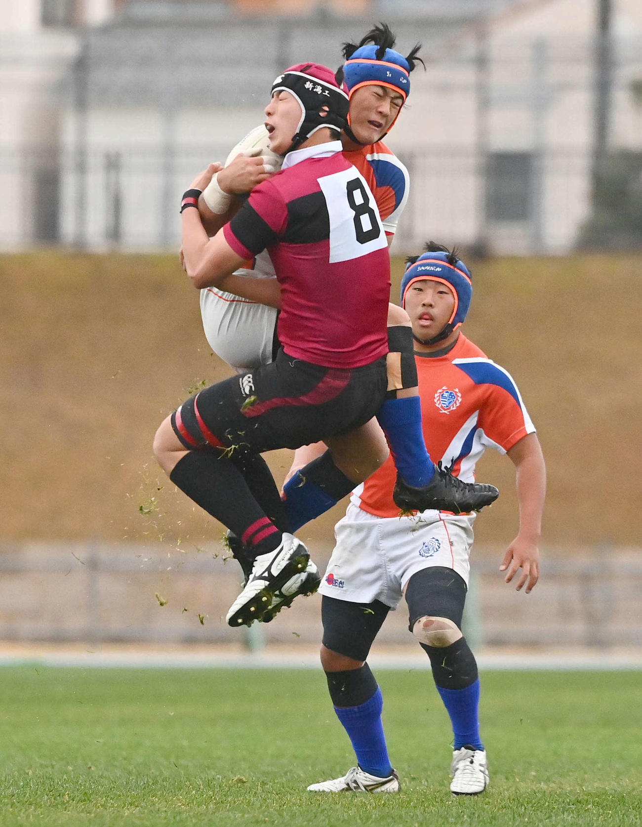 新潟工対中部大春日丘　前半、中部大春日丘フランカー吉田柊也とボールを奪い合う新潟工NO8稲村心（撮影・上田博志）