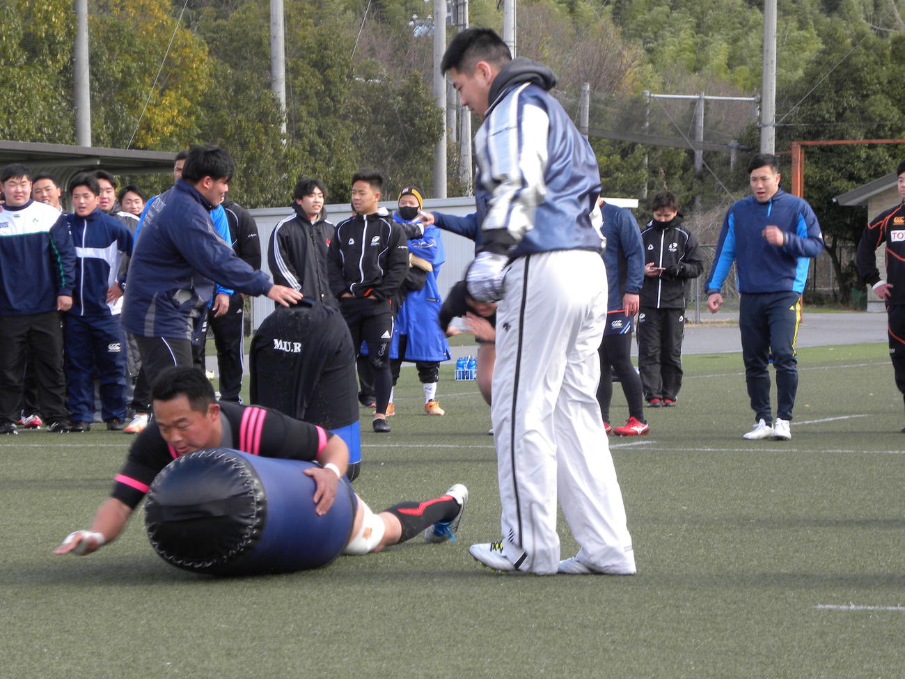 明大戦に向けてタックル練習する松岡大和主将（手前左）ら天理大の選手たち（撮影・松本航）