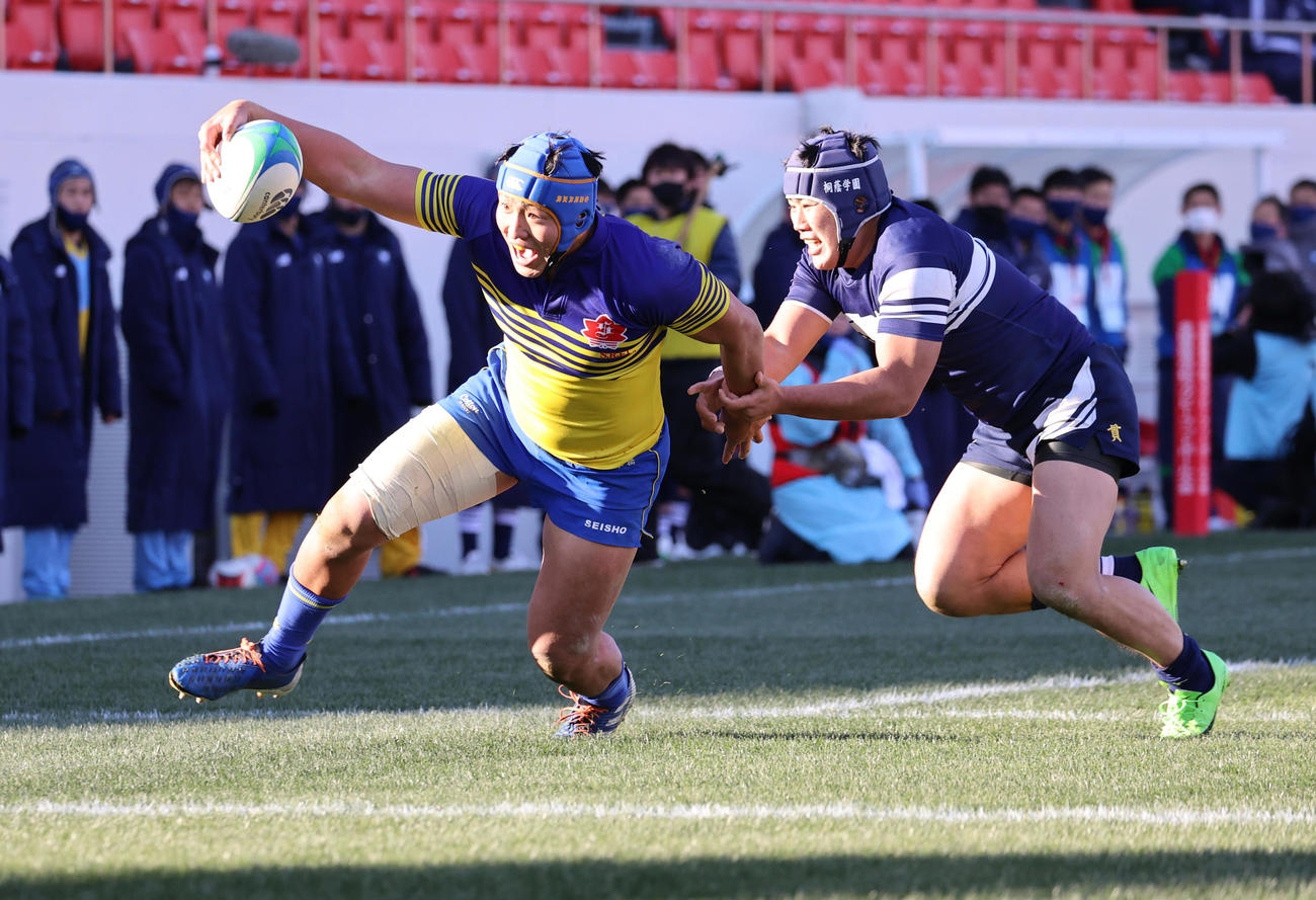 全国高校ラグビー大会決勝　京都成章対桐蔭学園　後半30分、最後に意地のトライを決める京都成章ロック本橋拓馬（左）（撮影・清水貴仁）