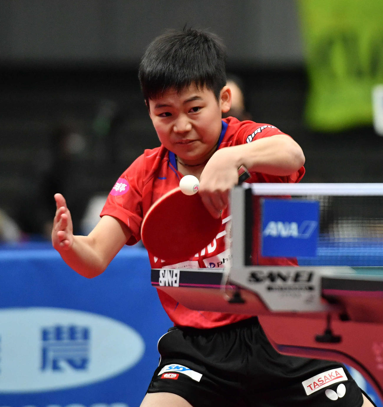 全日本卓球選手権ジュニア男子シングルス5回戦　バックハンドで打つ松島輝空（撮影・岩下翔太）