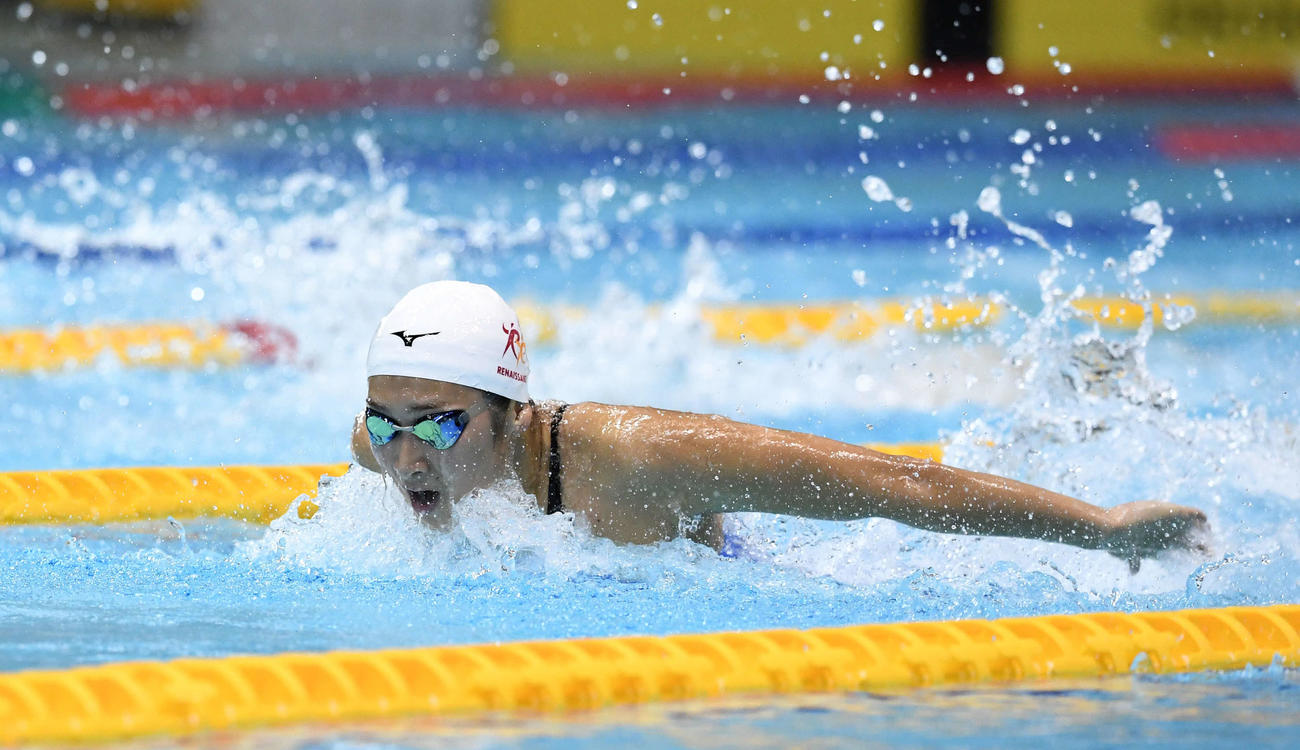 北島康介杯・女子100メートルバタフライで優勝した池江（18年11月17日撮影）