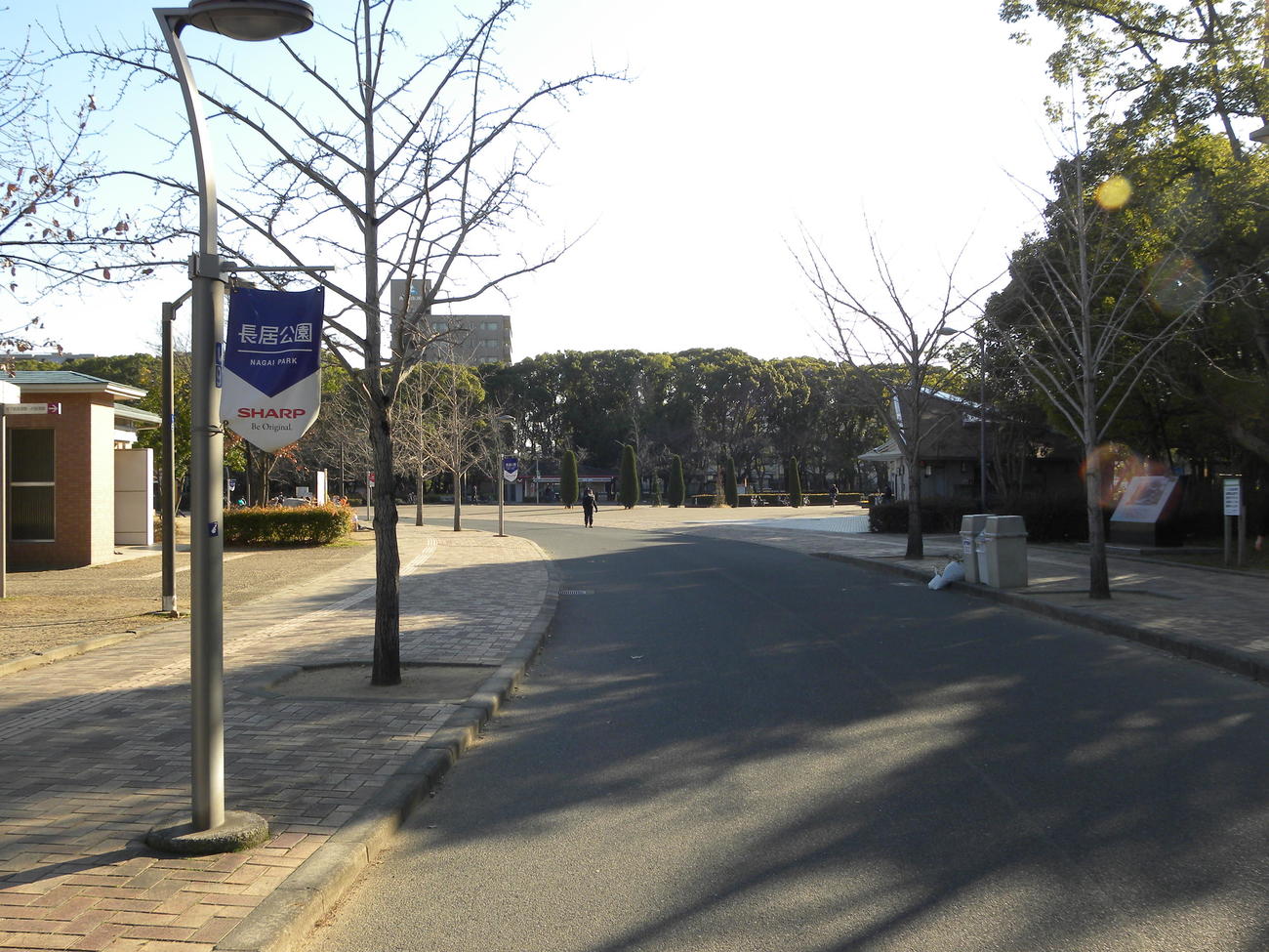 当日のマラソンのスタート地点付近。太陽は左上から徐々に右上へ移動（撮影・松本航）