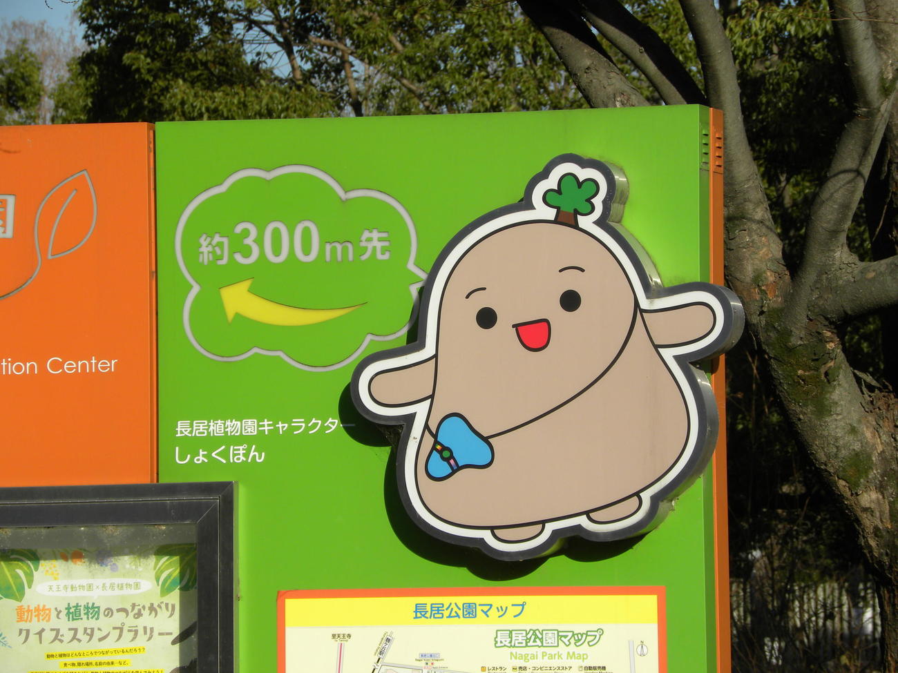 案内板には長居植物園キャラクターの「しょくぽん」（撮影・松本航）