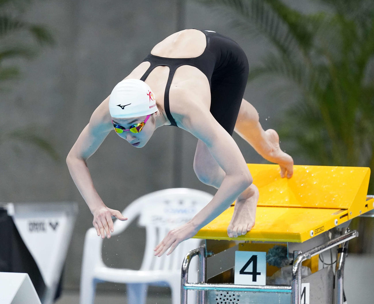 女子50メートル自由形決勝で勢いよく飛び込む池江（撮影・鈴木みどり）