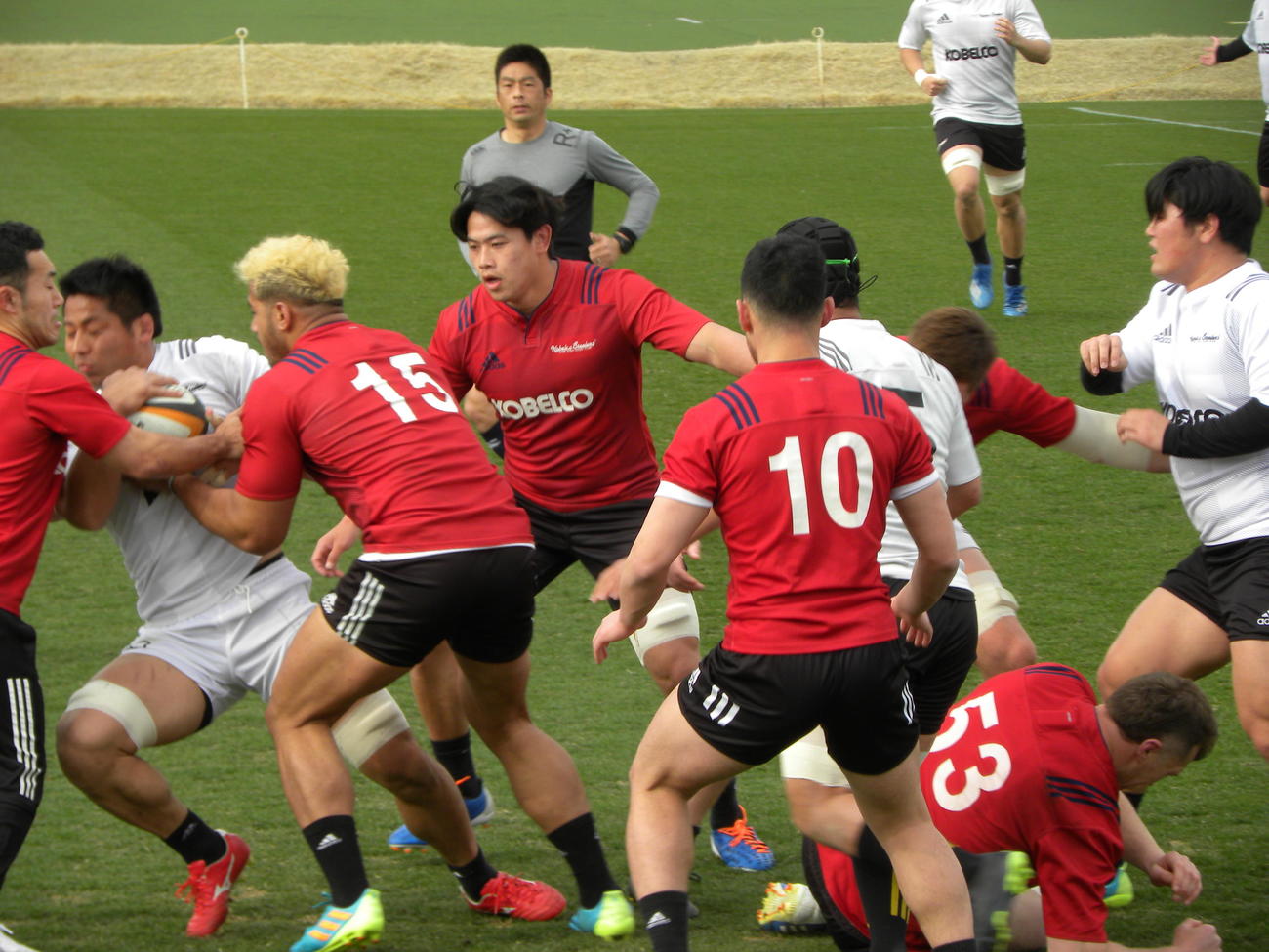 日野戦でトップリーグ初先発を果たす神戸製鋼フランカー今村陽良（左から4人目）（撮影・松本航）