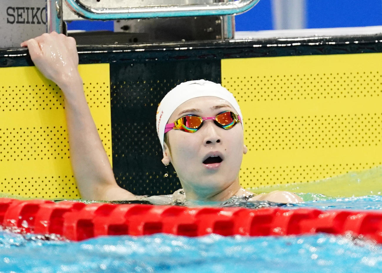 女子100メートル自由形予選　レースを終え、タイムを確認する池江（撮影・菅敏）