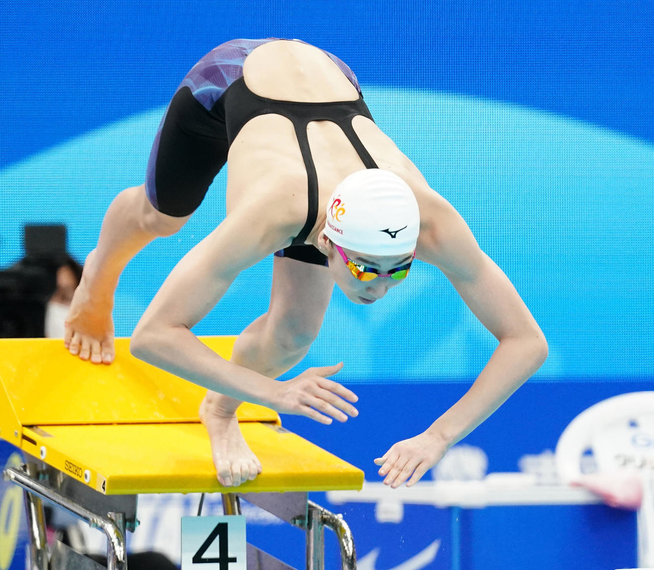 女子100メートル自由形準決勝　スタートする池江（撮影・菅敏）
