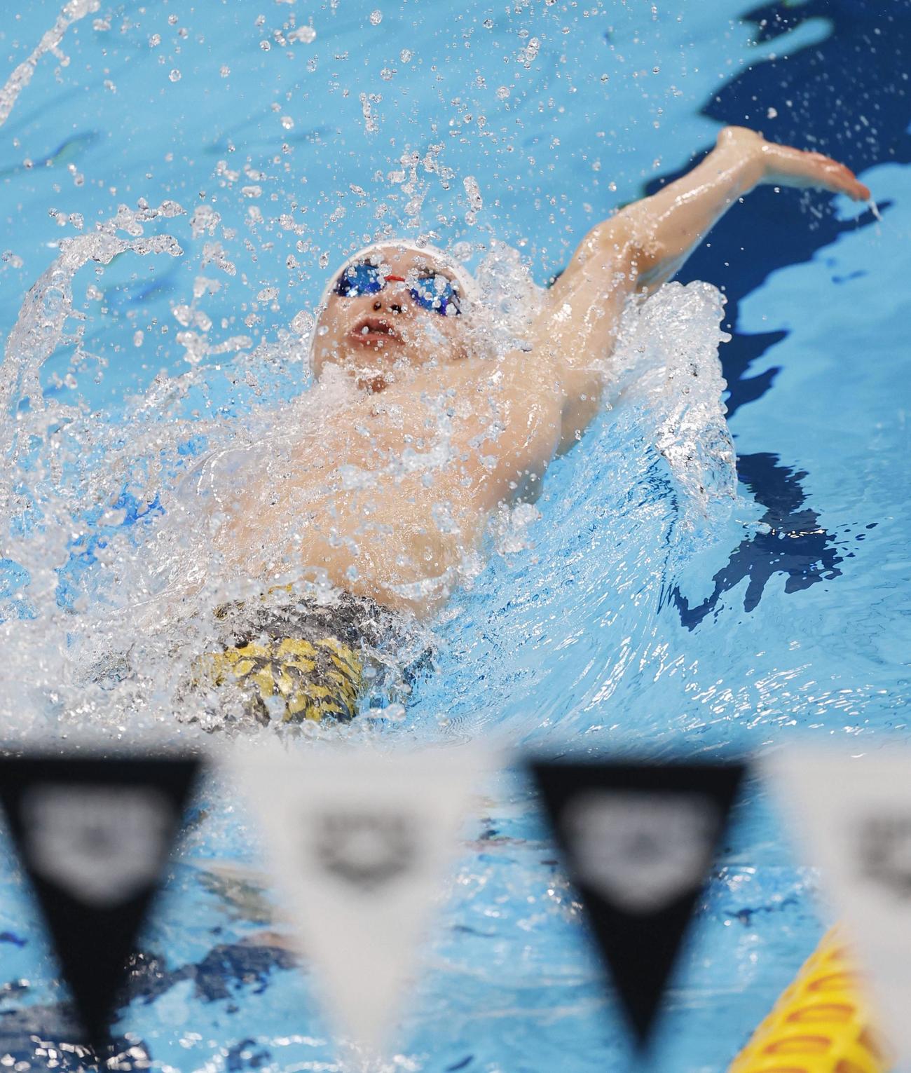 男子50メートル背泳ぎ決勝　力泳する入江（代表撮影）