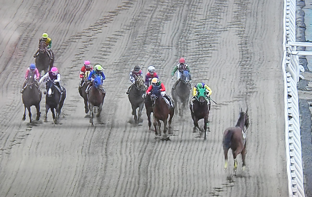 船橋競馬8R　マラニーノ（右）は落馬して騎手を振り落として逆走（パトロールビデオから）
