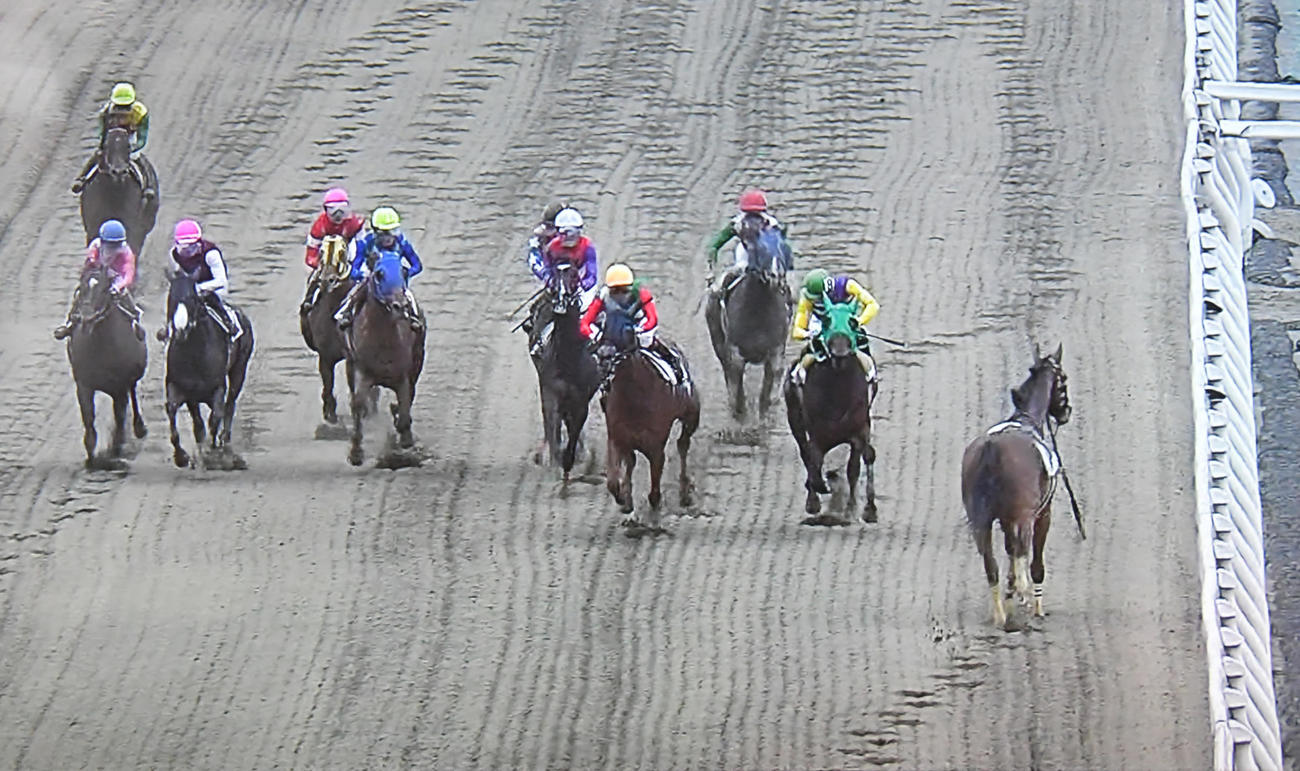 船橋競馬8R、マラニーノ（右）は落馬して騎手を振り落として逆走（パトロールビデオから）