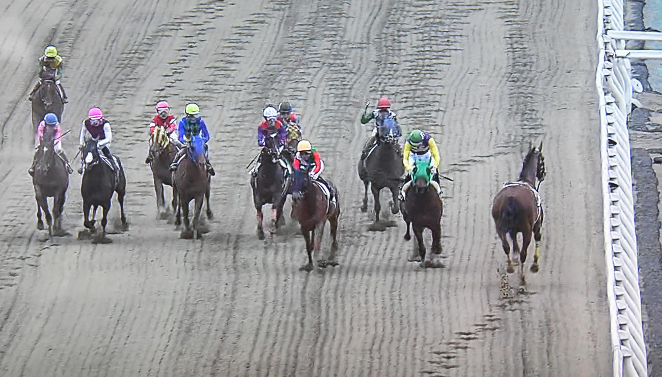 船橋競馬8R、マラニーノ（右）は落馬して騎手を振り落として逆走（パトロールビデオから）