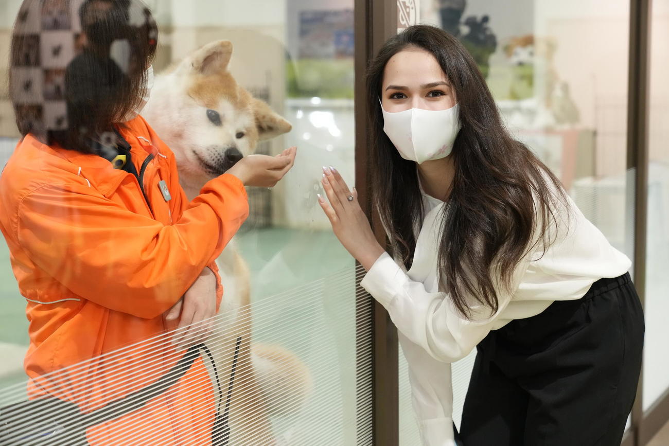 秋田犬の里を訪れ、愛犬マサルの兄弟「勝大」とガラス越しに対面したザギトワ（C）Shutterz／CB