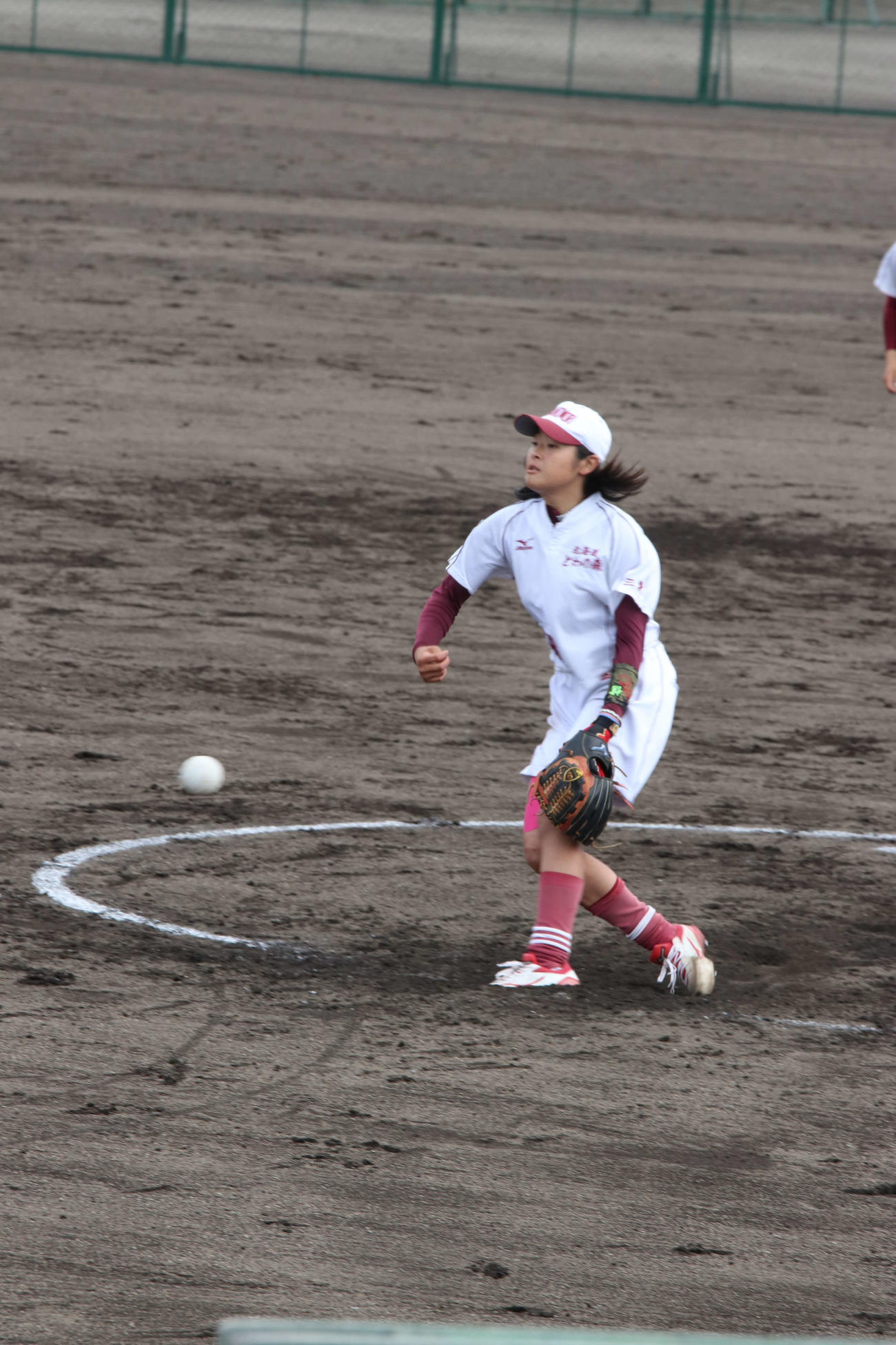 完封勝利を飾った酪農学園大とわの森三愛の佐竹