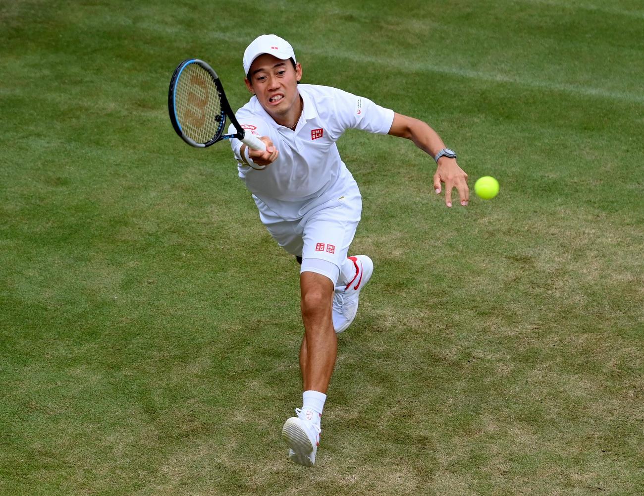 錦織圭が２回戦敗退 78位トンプソンに敗れる ウィンブルドン テニス 日刊スポーツ