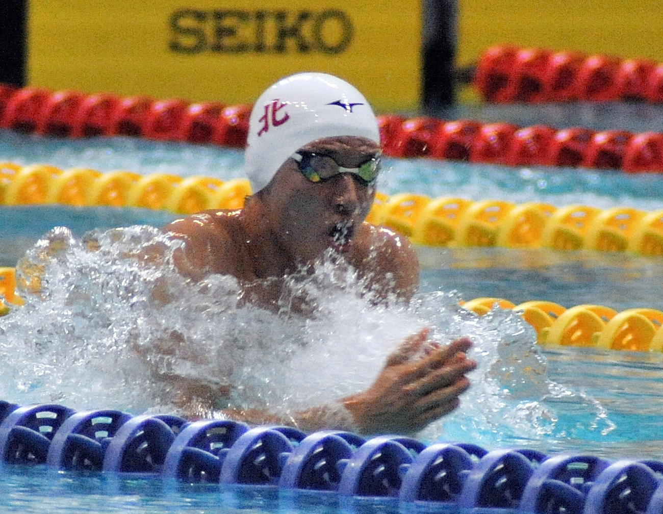 男子100メートル平泳ぎ、谷藤は自身初の決勝で5位に入賞