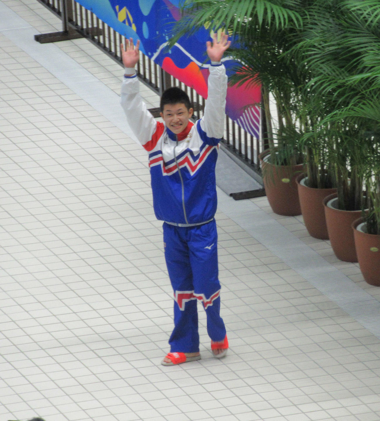 男子高飛び込みに出場した玉井陸斗（撮影・益田一弘）