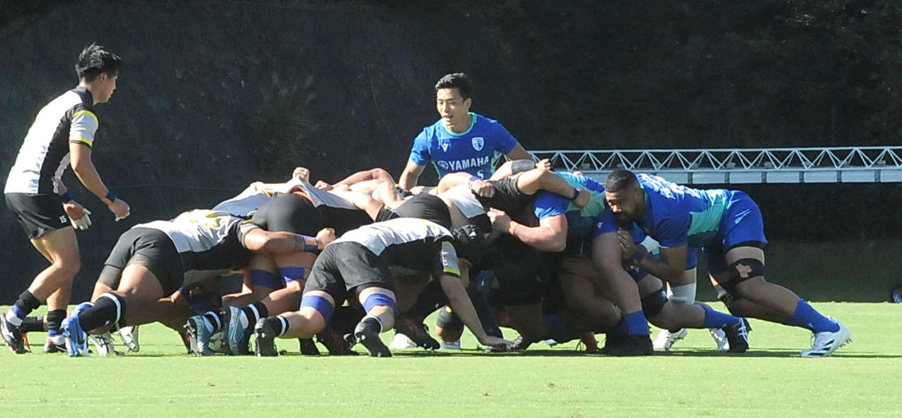 スクラムを組んで押し合う静岡ブルーレヴズの選手ら（中央右）