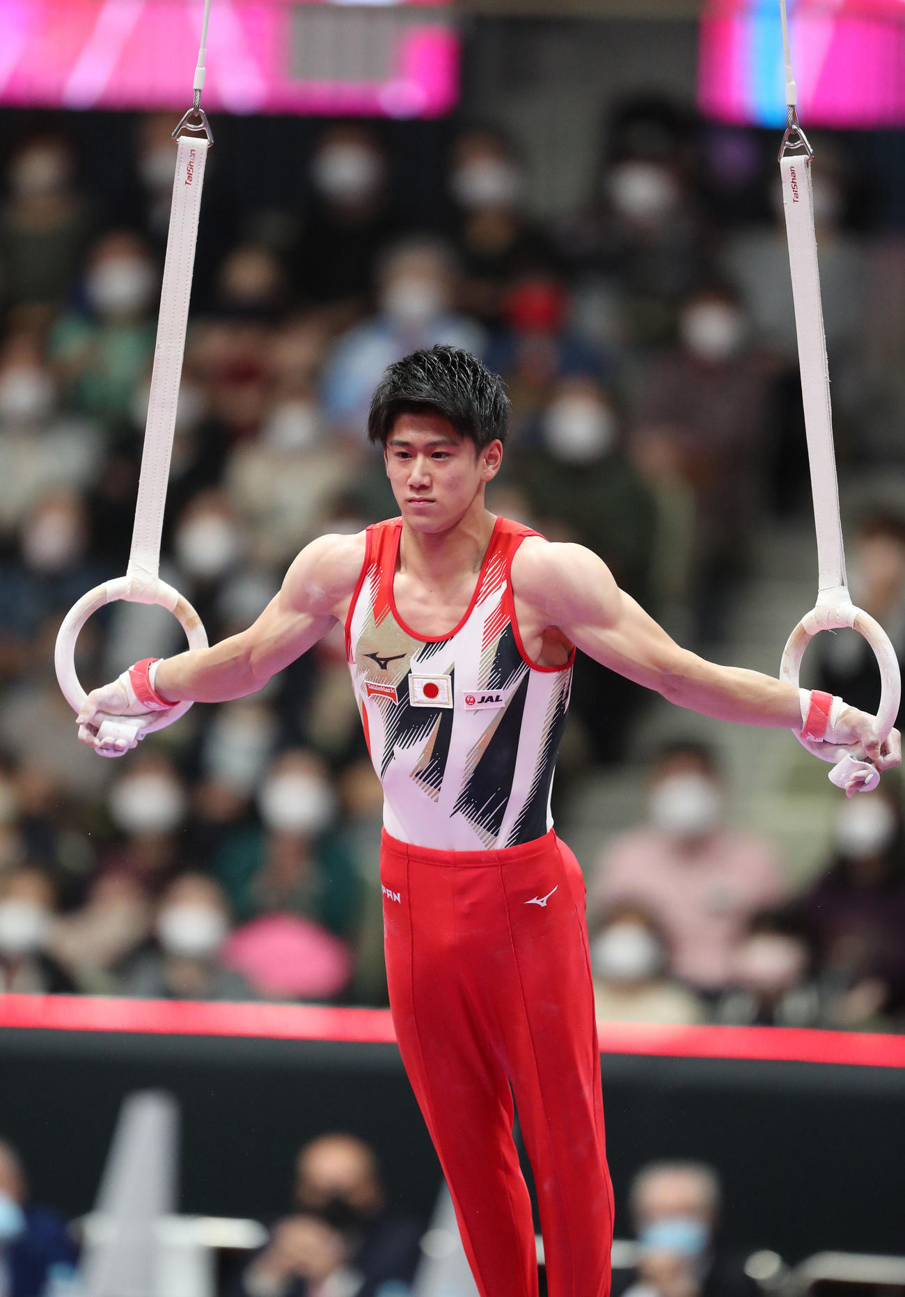 男子予選　つり輪の演技をする橋本大輝（撮影・梅根麻紀）