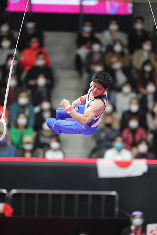 男子個人総合決勝 つり輪の演技を行う橋本大輝(撮影・梅根麻紀)