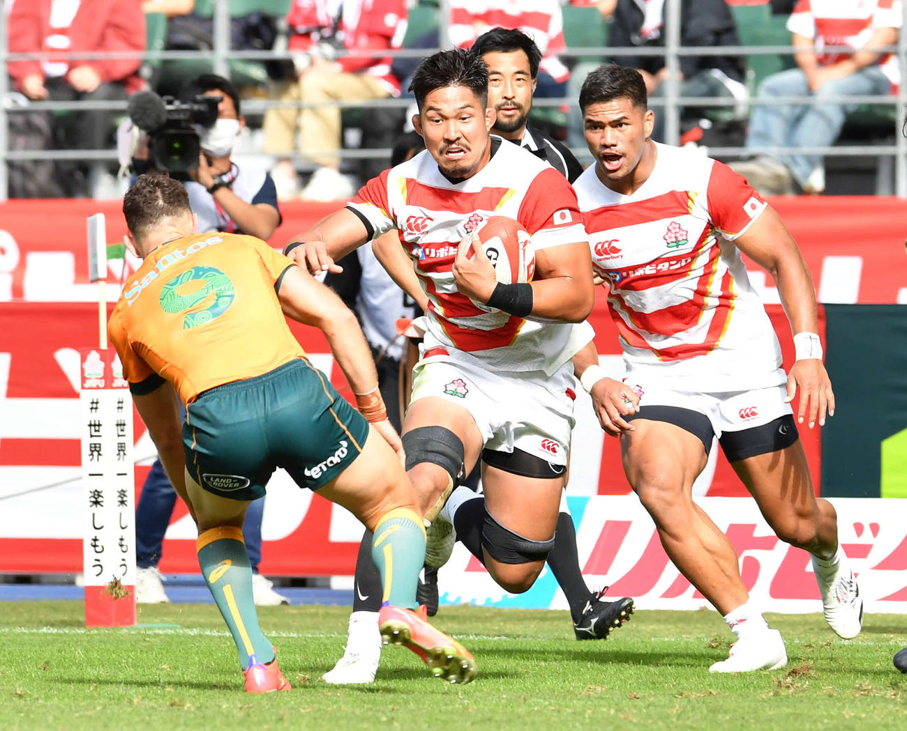 日本代表対オーストラリア代表　前半、猛進する日本代表NO8姫野（撮影・岩下翔太）