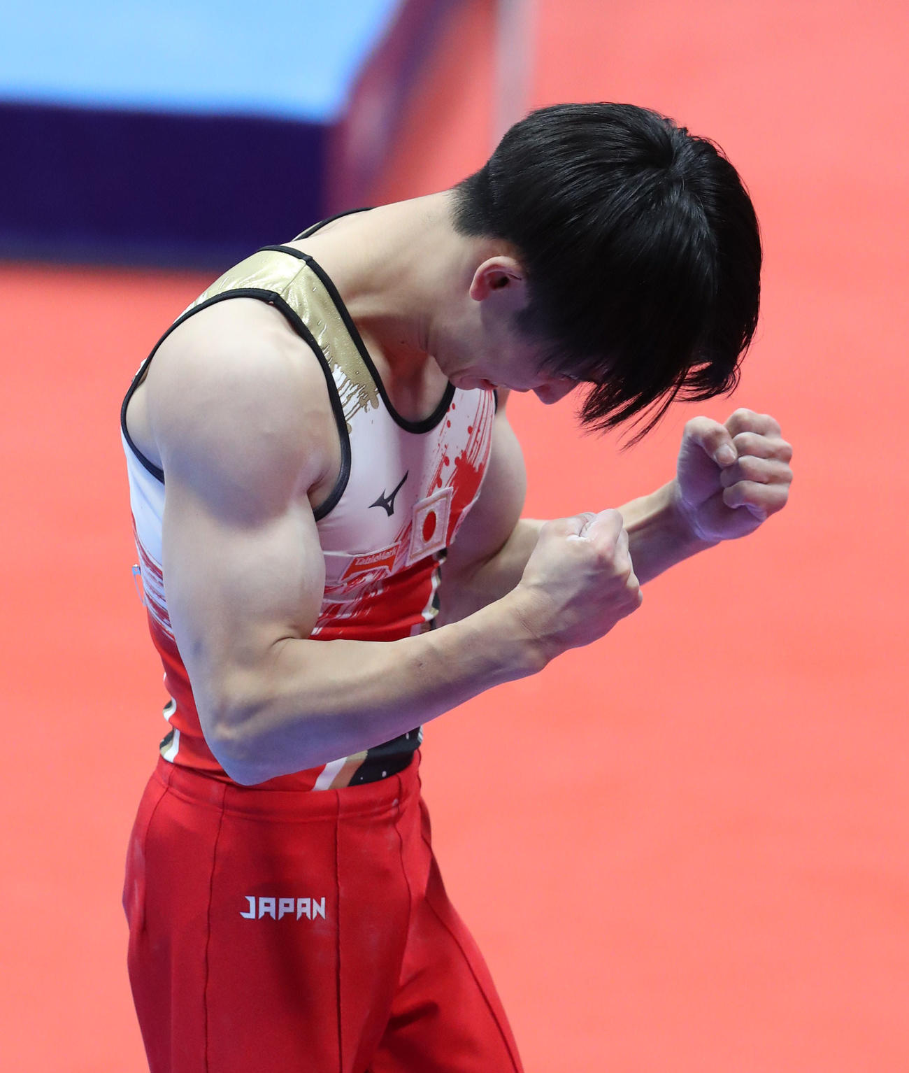 種目別決勝　あん馬の演技を終えた萱和磨はガッツポーズ（撮影・梅根麻紀）