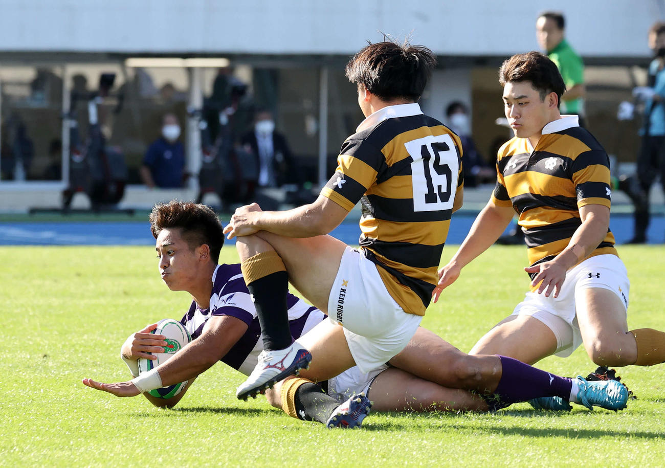 慶大対明大　前半、トライを決める明大SO伊藤（撮影・鈴木正人）