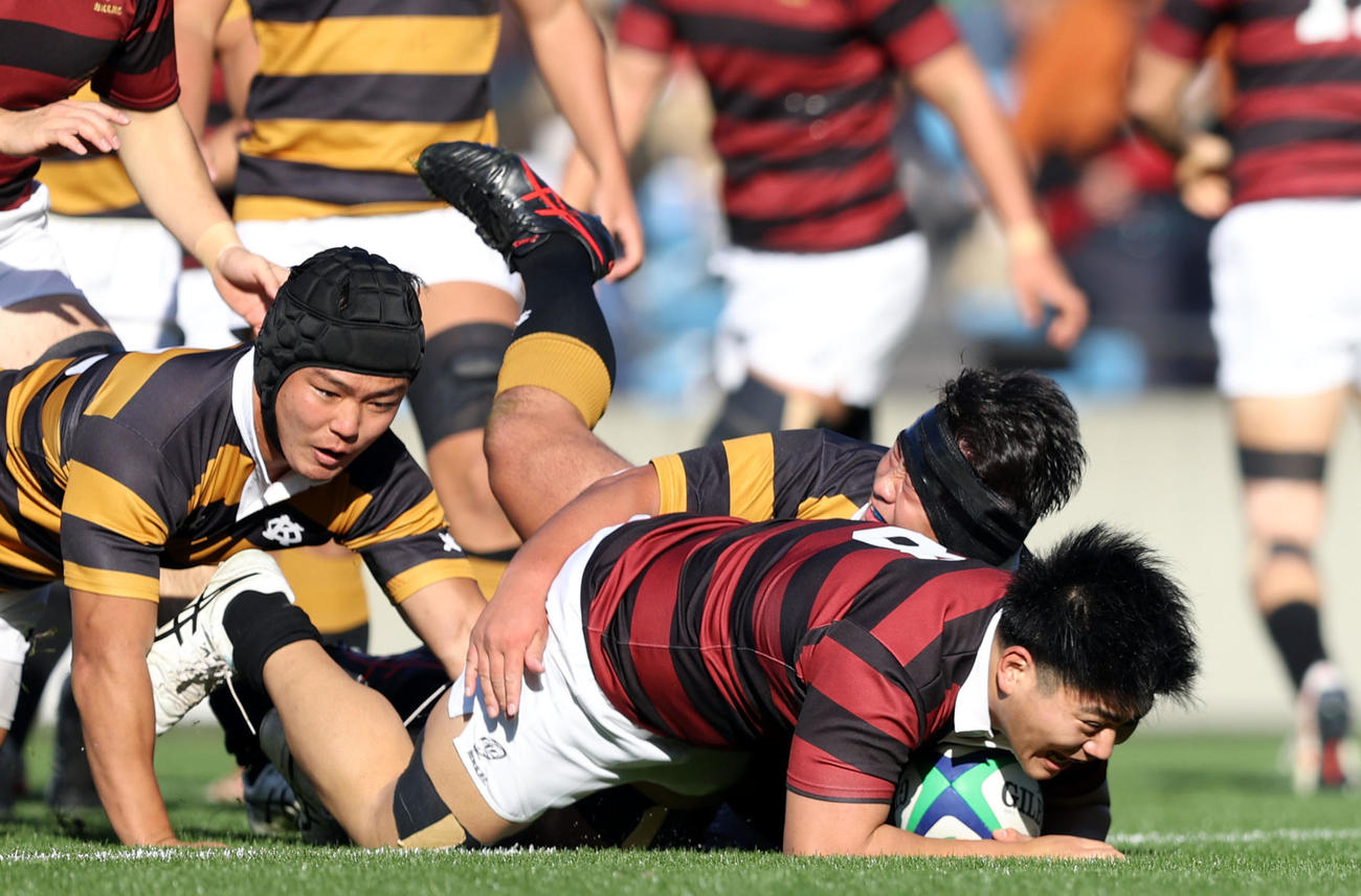 早大対慶応　前半、先制トライを決める早大NO8佐藤（撮影・狩俣裕三）