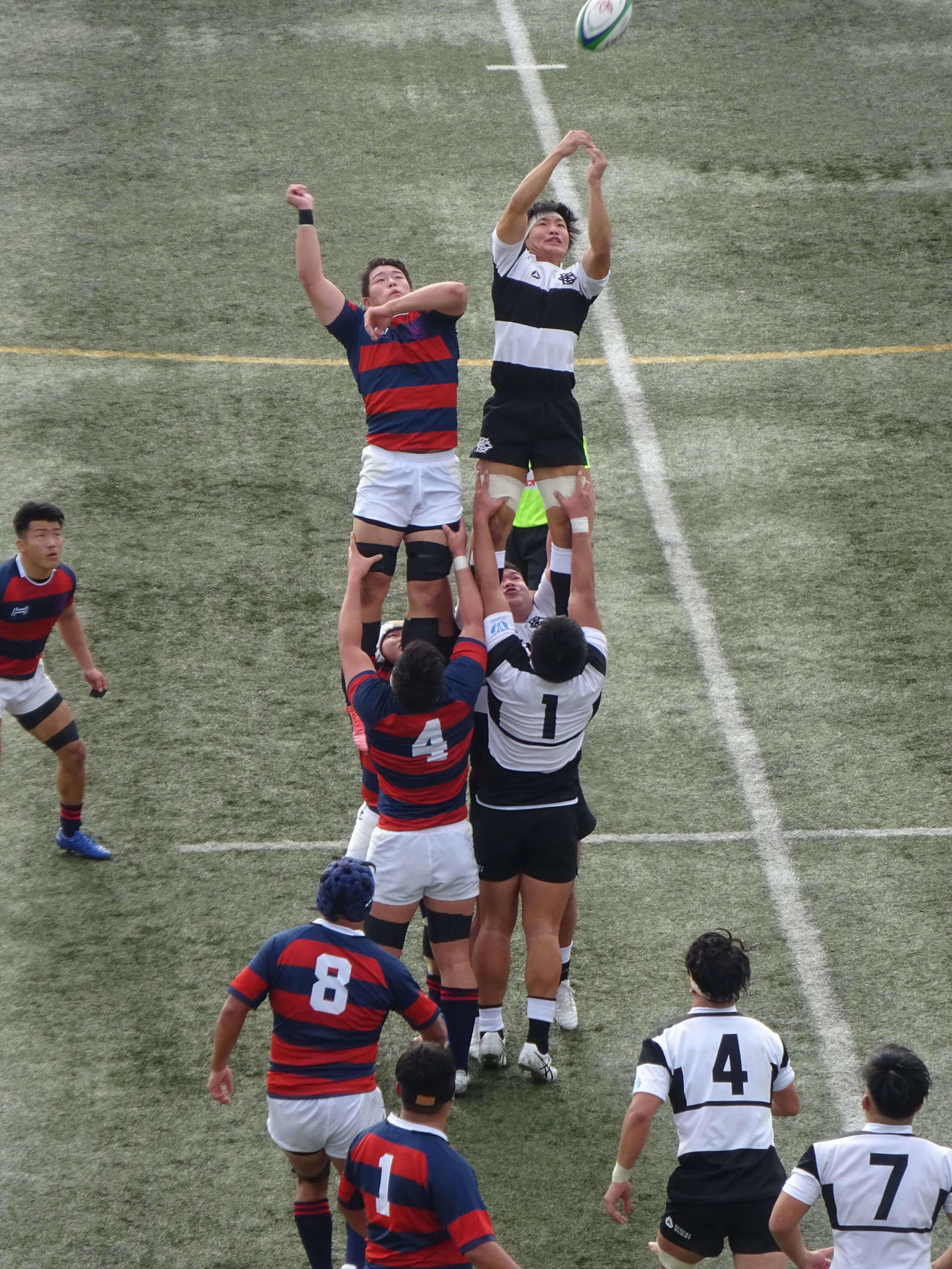 ラインアウトで競り合う関学大（左）と大体大（撮影・加藤裕一）